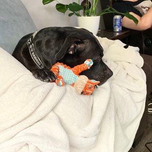 Meet your Posher, Alex